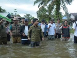 Tinjau Banjir di Lubuk Lagak, Bupati Satono Janji Segera Salurkan Bantuan