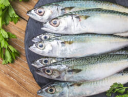 DPPKH Sambas Imbau Masyarakat Dukung Program Gemar Makan Ikan