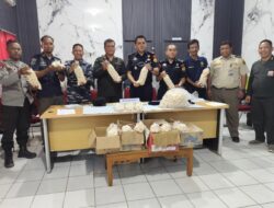 Petugas BKHIT Kalbar Amankan 1950 Telur Penyu yang Diseludupkan dari Pulau Tambelan Menuju Sintete
