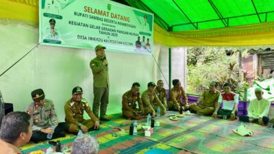 Gerakan Pangan Murah