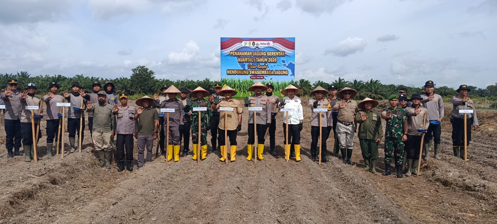 Penanaman Jagung Serentak