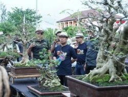 Satono Menilai Kontes Bonsai Piala Bupati Sambas Berikan Dampak Positif Bagi Masyarakat