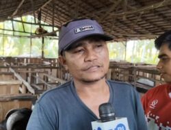 Ketua Perkasa Sebut Kambing dari Sambas Lebih Diminati Dibanding Kambing dari Jawa
