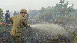 Datang Langsung ke Desa Tri Mandayan, Bupati Satono Ikut Padamkan Api Sekaligus Salurkan Bantuan Air Bersih